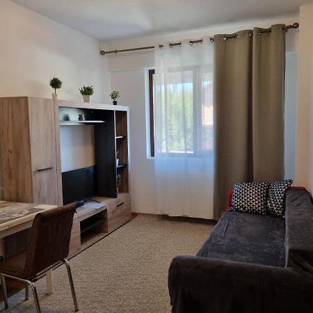 Ultracentral & Cozy, Palas Apt Iasi Exteriér fotografie
