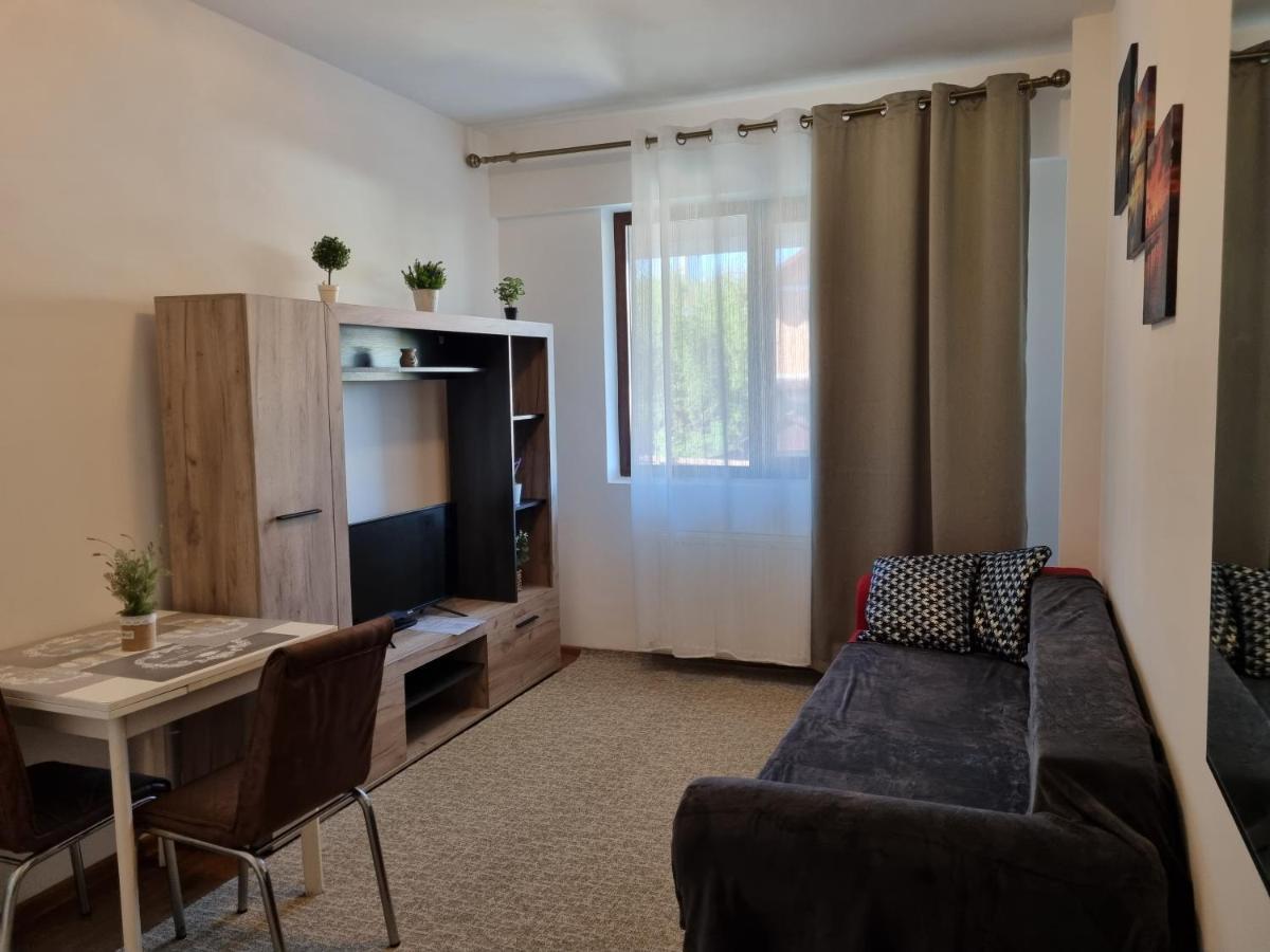 Ultracentral & Cozy, Palas Apt Iasi Exteriér fotografie
